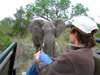 Madelein Norval - face to face with Africa's biggest of the Big 5